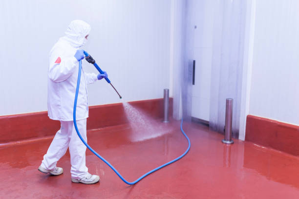 Best Residential Exterior Washing  in New Baltimore, MI