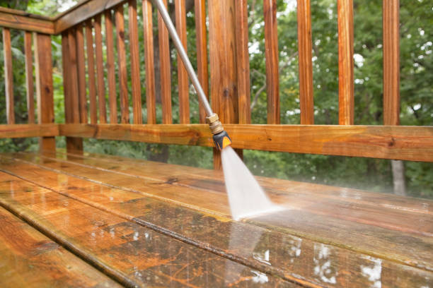 Best Fence Cleaning  in New Baltimore, MI